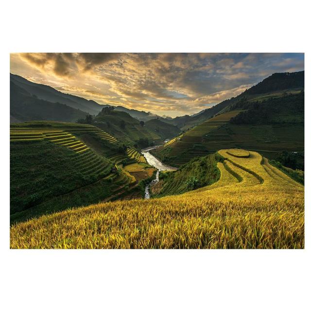 Rice Plantations Semi-Gloss Wallpaper Roll East Urban Home Size: 4.8m x 320cm, Materialqualität: Premium (150g/m²) on Productcaster.