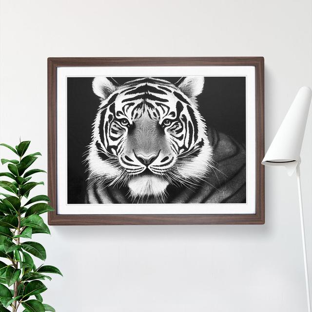 Monochrome Tiger Vol.5 - Single Picture Frame Print 17 Stories Size: 46cm H x 64cm W x 2cm D, Frame Colour: Brown Framed on Productcaster.