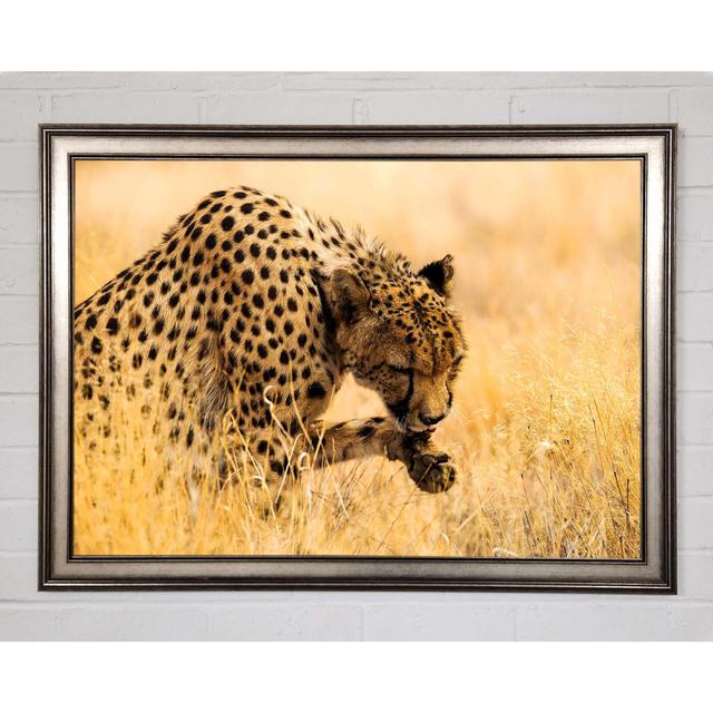 Cheetah Wash Framed Print Brayden Studio Size: 84.1cm H x 118.9cm W on Productcaster.