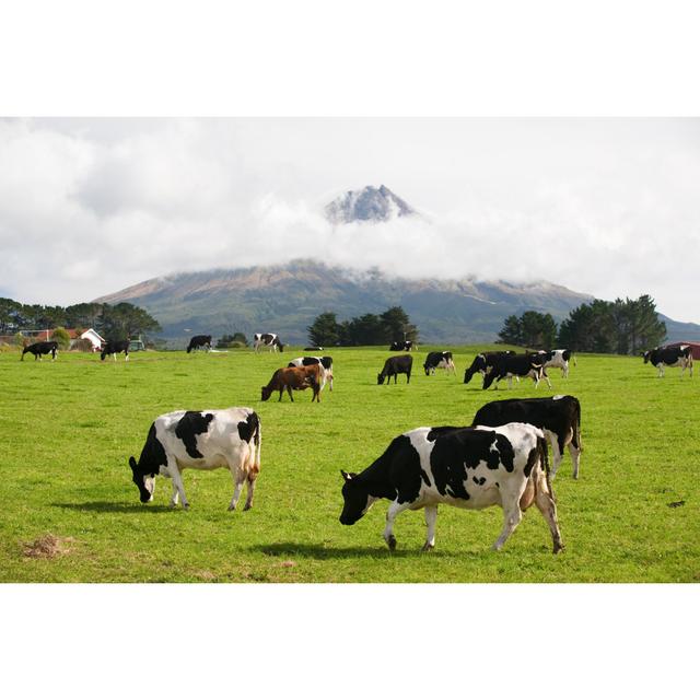 Volcano Taranaki Overview by Larkyphoto - No Frame Print on Canvas Brambly Cottage Size: 61cm H x 91cm W on Productcaster.