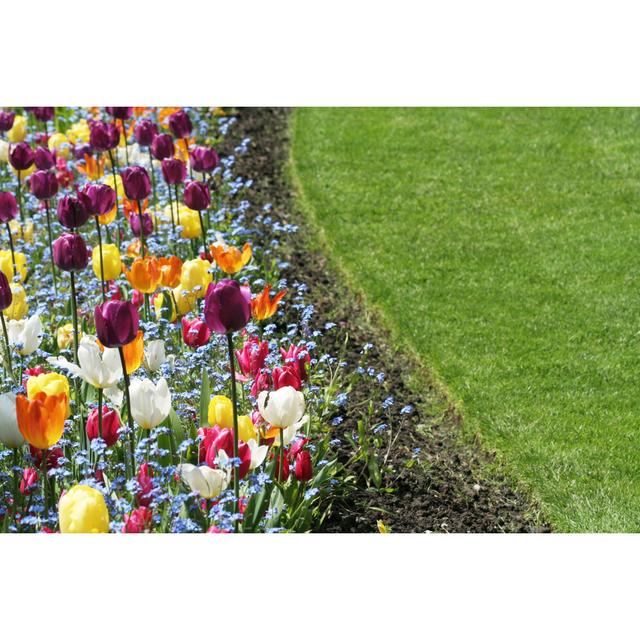 Tulips Garden by Devonyu - Wrapped Canvas Photograph 17 Stories Size: 61cm H x 91cm W on Productcaster.