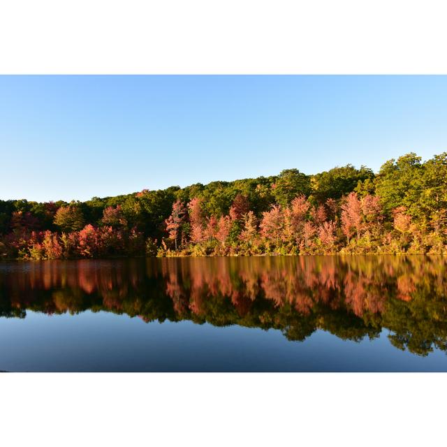 Lake in Pennsylvania - Wrapped Canvas Photograph Latitude Run Size: 51cm H x 76cm W on Productcaster.