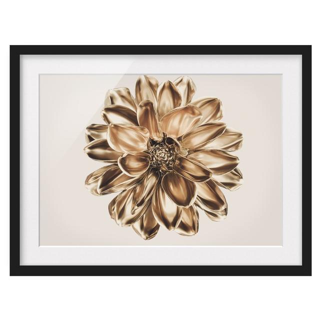 Dahlia Flower Gold Metallic - Picture Frame Graphic Art Ebern Designs Size: 50cm H x 70cm W x 2cm D, Frame Option: Black Framed on Productcaster.