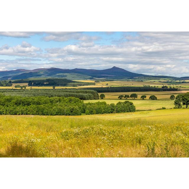 Bennachie In The Distance August Grove Size: 51cm H x 76cm W x 3.8cm D on Productcaster.