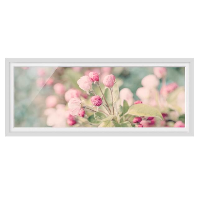 Apple Blossom Bokeh Pink - Picture Frame Graphic Art Ebern Designs Size: 40cm H x 100cm W x 2cm D, Frame Option: White on Productcaster.