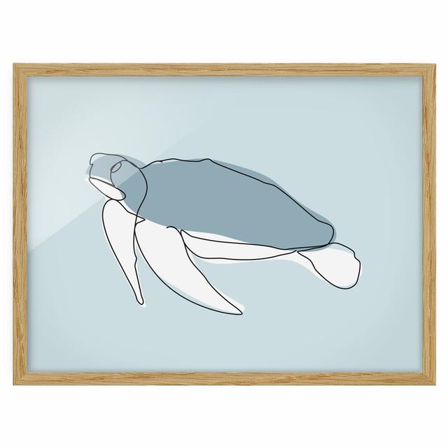 Turtle Line Art - Picture Frame Graphic Art Bay Isle Home Size: 50cm H x 70cm W x 2cm D, Frame Option: Brown Framed on Productcaster.