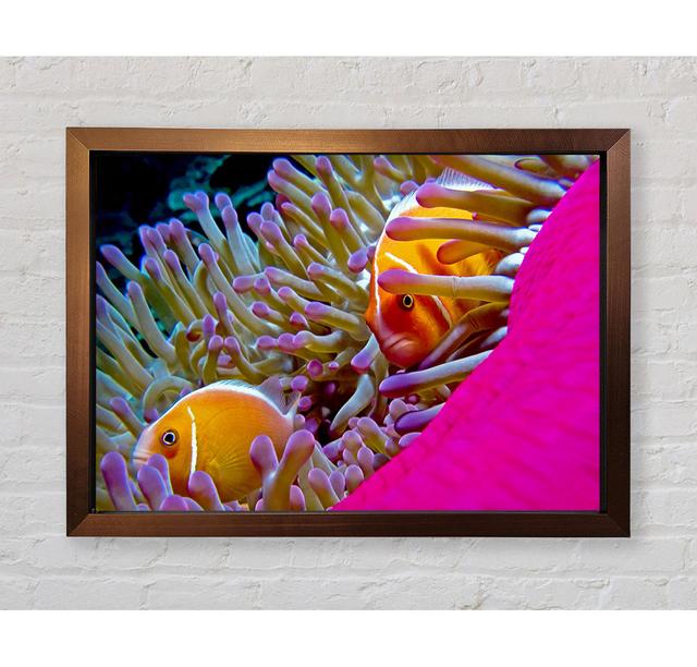 Ocean Sea Underwater Framed Print House of Hampton Size: 100.1cm H x 141.4cm W on Productcaster.