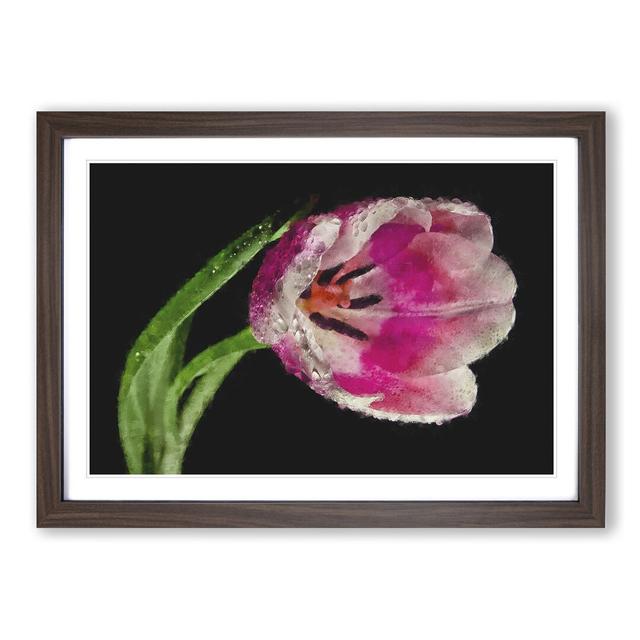 Pink Tulip - Picture Frame Graphic Art Print East Urban Home Format: Walnut, Size: 33cm H x 45cm W x 2cm D on Productcaster.