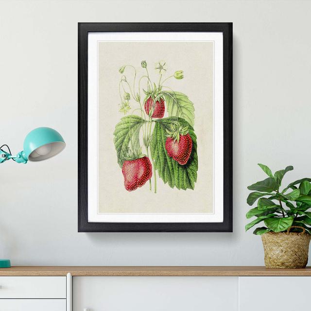 Illustration of Strawberries - Picture Frame Graphic Art Print East Urban Home Frame Option: Black Framed, Size: 36cm H x 27cm W x 2cm D on Productcaster.