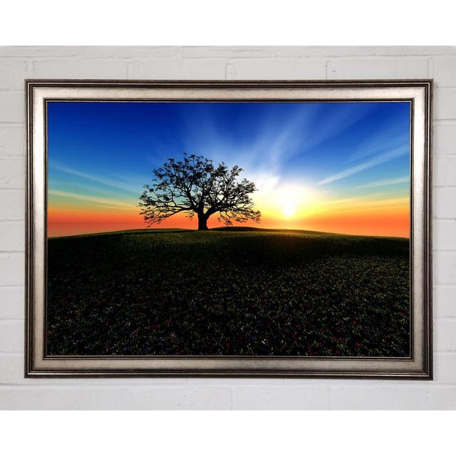 Sunset Hill - Single Picture Frame Art Prints Ebern Designs Size: 42cm H x 59.7cm W x 1.5cm D on Productcaster.