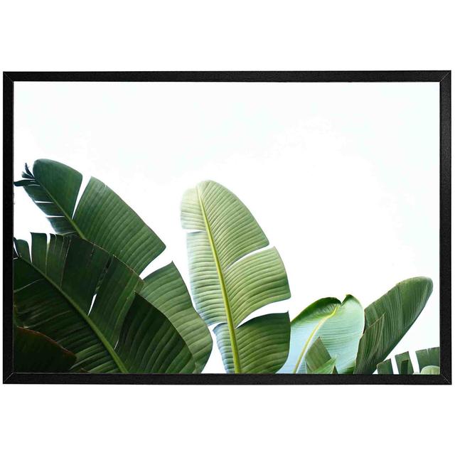 Sushant Banana Leaves - Single Picture Frame Print 17 Stories Size: 25cm H x 31cm W x 4cm D, Frame Colour: Brown on Productcaster.