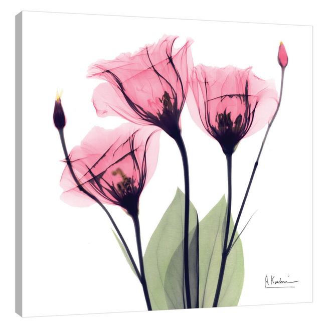 Gentian Faith - Wrapped Canvas Graphic Art Print East Urban Home Size: 30 cm H x 30 cm W on Productcaster.