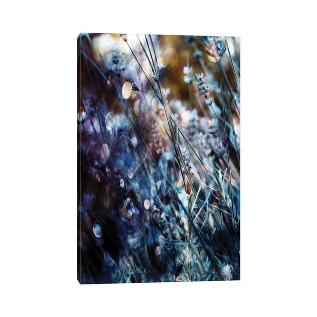 Flowers, Bubbles & Dreams by Delphine Devos - Wrapped Canvas Photograph Rosalind Wheeler Size: 30.48cm H x 20.32cm W x 1.905cm D on Productcaster.