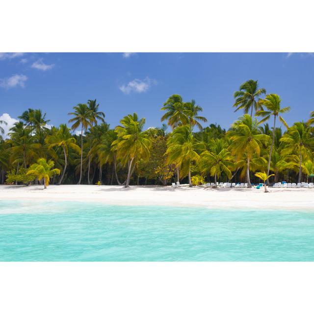 Caribbean Beach by KellyISP - Wrapped Canvas Print 17 Stories Size: 51cm H x 76cm W on Productcaster.