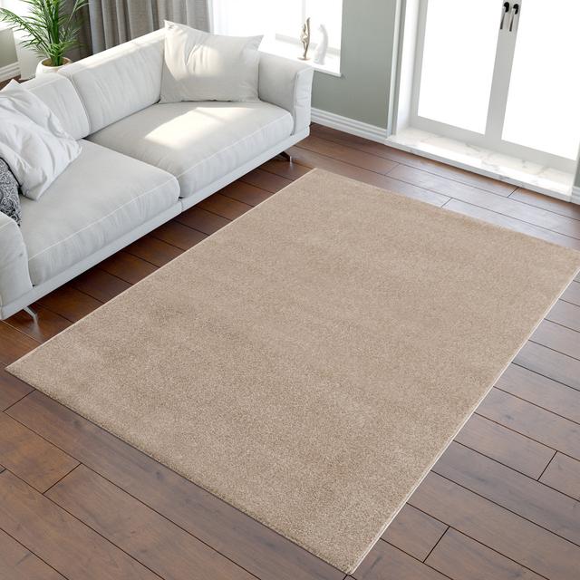 Maschinell gewebter Teppich in Beige für drinnen und draußen The European Warehouse Teppichgröße: Rechteckig 60 cm x 110 cm on Productcaster.