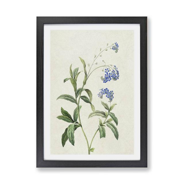 'Water Forget-Me-Not Flowers' - Picture Frame Painting Print on Paper East Urban Home Frame Option: Black, Size: 33cm H x 45cm W x 2cm D on Productcaster.