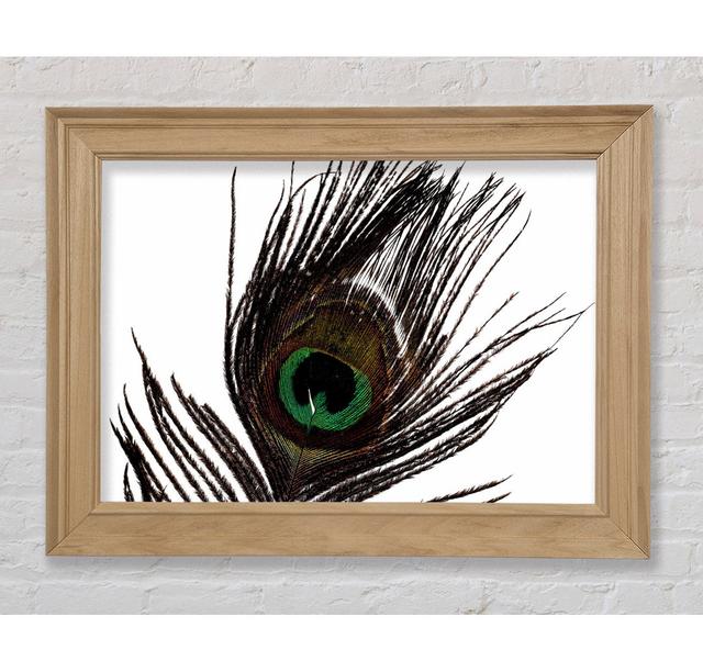 Peacock Eye Feather Framed Print Bright Star Size: 42cm H x 59.7cm W on Productcaster.