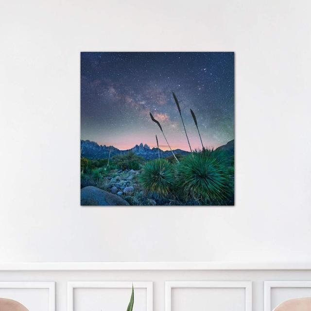 Agave And The Milky Way, Organ Mountains-Desert Peaks National Monument, New Mexico by Tim Fitzharris - Wrapped Canvas Print Ebern Designs Size: 45.72 on Productcaster.