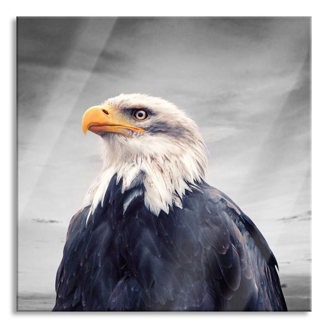 Bald Eagle at Sunset - Unframed Photograph on Glass Union Rustic Size: 60cm H x 60cm W x 0.4cm D on Productcaster.