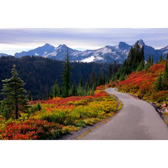 Rainier National Park - Wrapped Canvas Print Alpen Home Size: 51cm H x 76cm W on Productcaster.