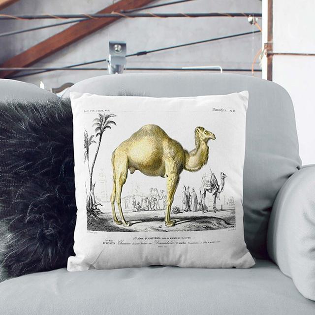 Camel Illustration by Charles D' Orbigny Cushion with Filling East Urban Home Size: 40cm H x 40cm W x 15cm D on Productcaster.