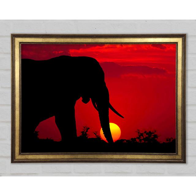 Elephant At Sundown - Print Ebern Designs Size: 42cm H x 59.7cm W x 1.5cm D on Productcaster.