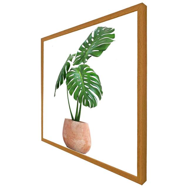 Gottberg Monstera - Single Picture Frame Print 17 Stories Size: 51cm H x 51cm W x 4cm D, Frame Colour: Oak on Productcaster.