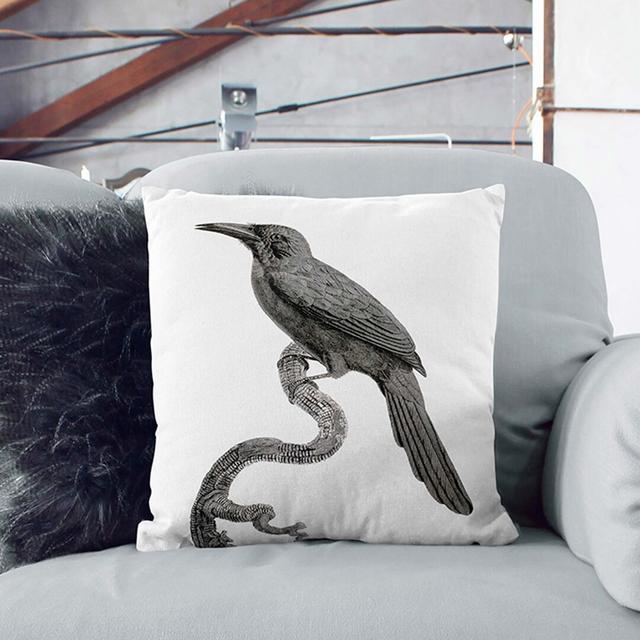 Jacamar Bird by Jacques Barraband Cushion with Filling East Urban Home Backing Colour: Stone, Size: 40cm H x 40cm W x 15cm D on Productcaster.