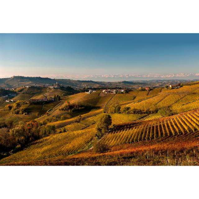 Vineyards In Autumn by DarioEgidi - No Frame Print on Canvas 17 Stories Size: 51cm H x 76cm W on Productcaster.