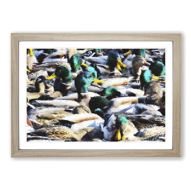 Mallard Ducks - Picture Frame Painting East Urban Home Frame Option: Oak Framed, Size: 36cm H x 48cm W x 2cm D on Productcaster.