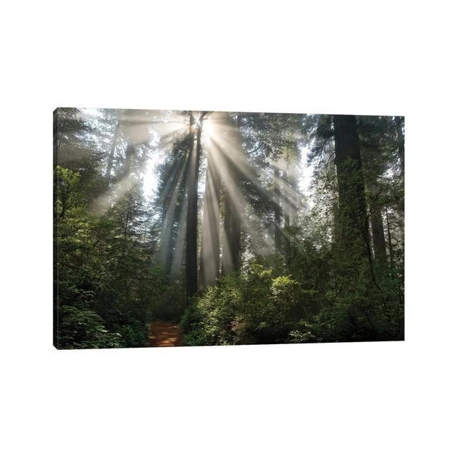 Shine On You by Mike Jones - Wrapped Canvas Gallery-Wrapped Canvas Giclée Alpen Home Size: 30.48cm H x 45.72cm W x 1.9cm D on Productcaster.