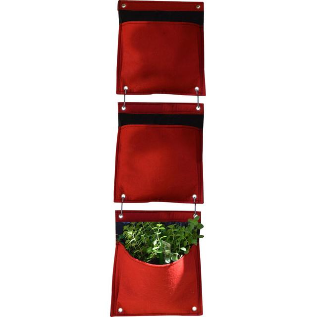 LosPalmos Wall Planter (Set of 3) Dakota Fields Colour: Red on Productcaster.