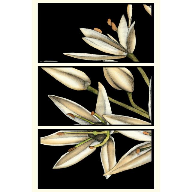 Graphic Lily I by Jennifer Goldberger - Wrapped Canvas Art Prints Rosalind Wheeler Size: 122cm H x 81cm W on Productcaster.