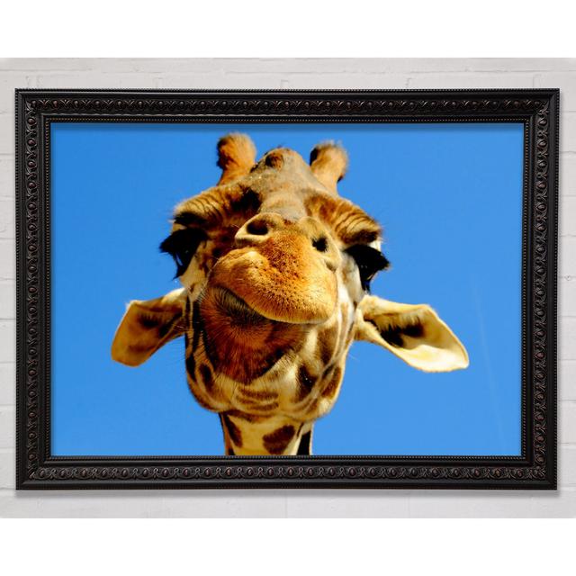 Giraffe Smile - Print Bright Star Size: 21cm H x 29.7cm W on Productcaster.