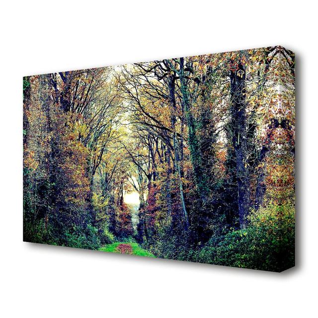 Just Trees Forest - Wrapped Canvas Photograph Print East Urban Home Size: 66.04 cm H x 101.6 cm W on Productcaster.