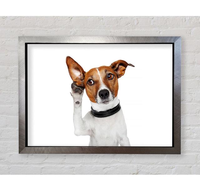 Jack Russell Dog Listen - Single Picture Frame Art Prints Bright Star Size: 42cm H x 59.7cm W x 3.4cm D on Productcaster.