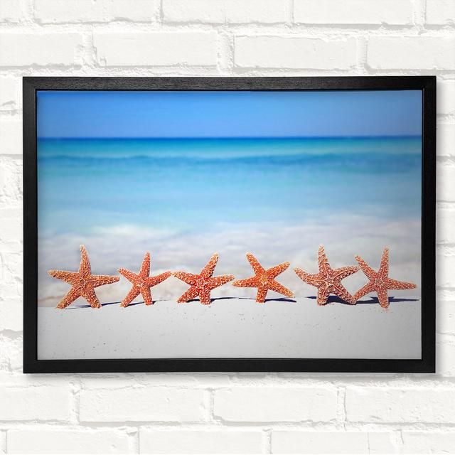 Star Fish Line-Up Framed Print Highland Dunes Size: 59.7cm H x 84.1cm W on Productcaster.