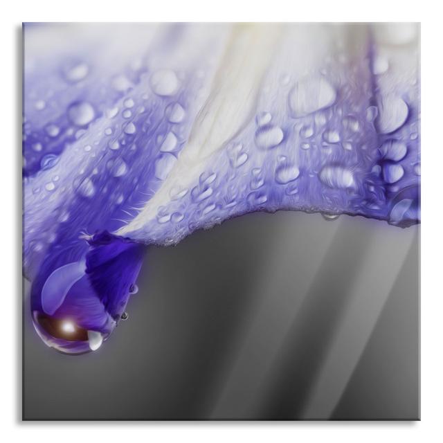 Flower with Rain Drops - Unframed Photograph on Glass Brayden Studio Size: 70cm H x 70cm W x 0.4cm D on Productcaster.