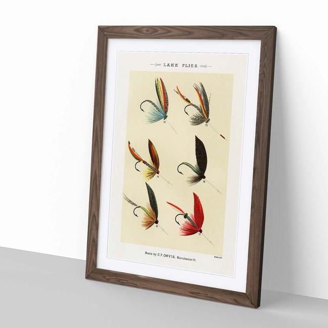 Lake Fishing Flies Version 6 by Mary Orvis Marbury - Picture Frame Painting Print East Urban Home Frame Option: Walnut, Size: 91cm H x 60cm W x 2cm D on Productcaster.