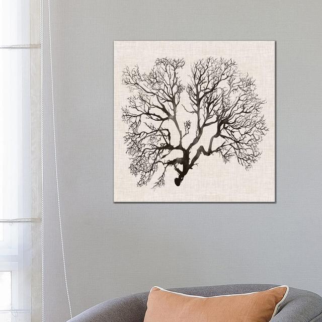 Shadow Sea Fan III by - Wrapped Canvas Graphic Art House of Hampton Size: 66.04cm H x 66.04cm W x 3.81cm D on Productcaster.