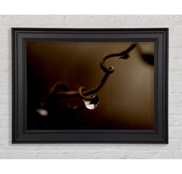 Drop Of Water Brown Framed Print Ebern Designs Size: 100cm H x 141.4cm W on Productcaster.