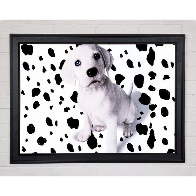 Wheres My Spots Dalmatian - Print 17 Stories Size: 84.1" H x 118.9" W x 1.5" D on Productcaster.