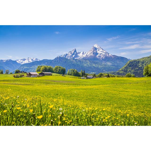 Dandridge Meadows and Flowers - Wrapped Canvas Photograph Alpen Home Size: 51cm H x 76cm W x 3.8cm D on Productcaster.