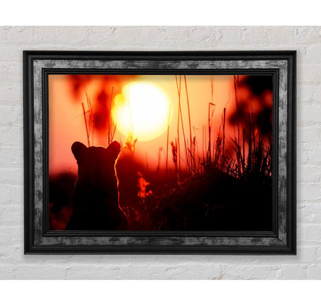 Lion Cub Watching The Sun Go Down - Single Picture Frame Art Prints Bright Star Size: 29.7cm H x 42cm W x 8cm D on Productcaster.