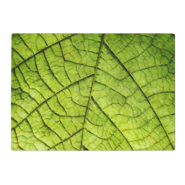 Tempered Glass Leaf Roads Chopping Board East Urban Home Size: 20 cm x 28.5 cm on Productcaster.