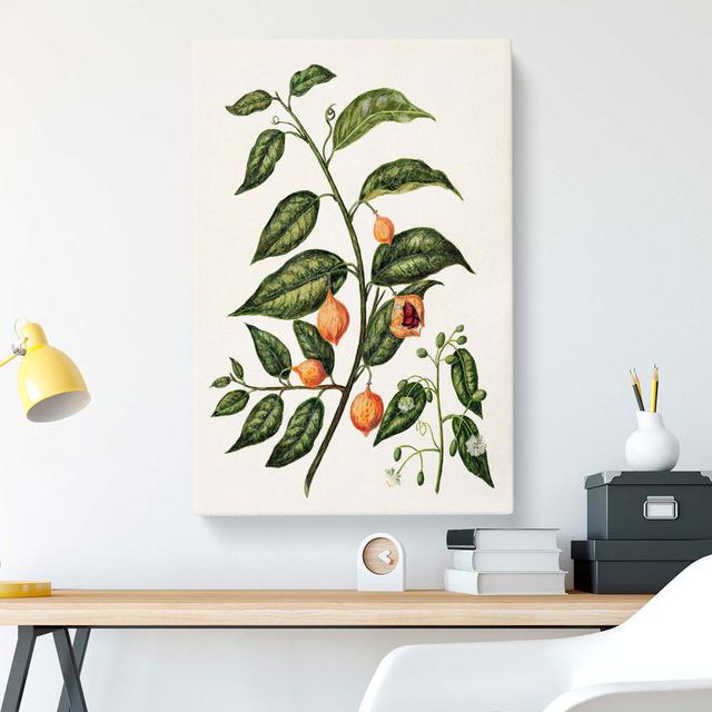 Passionfruit Plant by Sarah Featon - Wrapped Canvas Print East Urban Home Size: 60cm H x 40cm W x 3cm D on Productcaster.