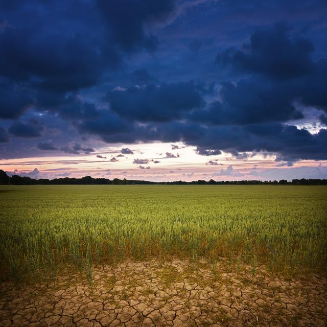 Dunkle Wolken über dem Feld bei Sonnenuntergang 108220106 17 Stories Größe: 122 cm H x 122 cm B on Productcaster.