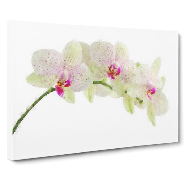 Orchid Flowers Vol.1 - Wrapped Canvas Painting East Urban Home Size: 40cm H x 60cm W x 3cm D on Productcaster.