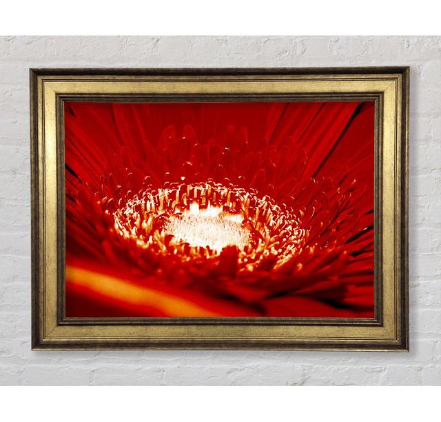 Red Centre - Single Picture Frame Art Prints Bright Star Size: 84.1cm H x 142.2cm W x 8cm D on Productcaster.