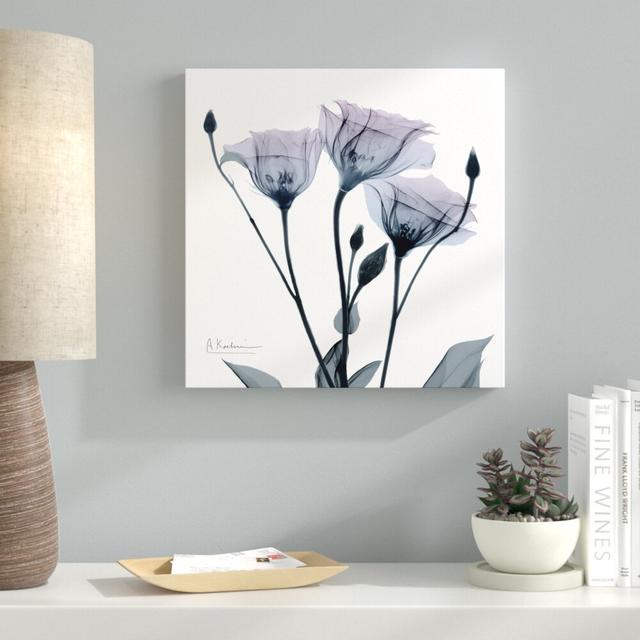 Midnight Gentian I - Wrapped Canvas Graphic Art Print East Urban Home Size: 46cm H x 46cm W on Productcaster.